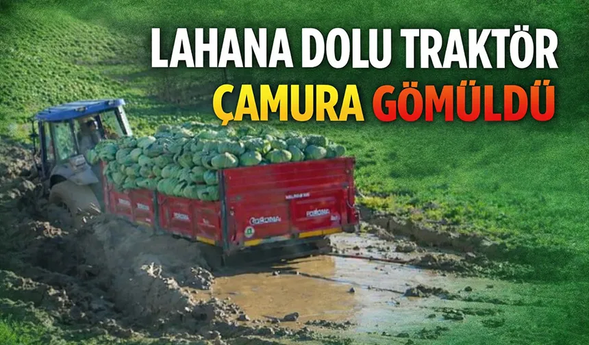 Lahana yüklü traktör adeta çamura gömüldü