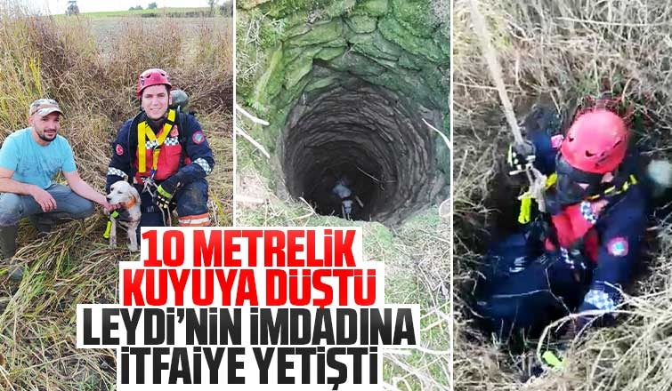 Leydi’nin imdadına itfaiye yetişti