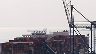 Limanda korkulu anlar: 3 yükleme vinci devrildi