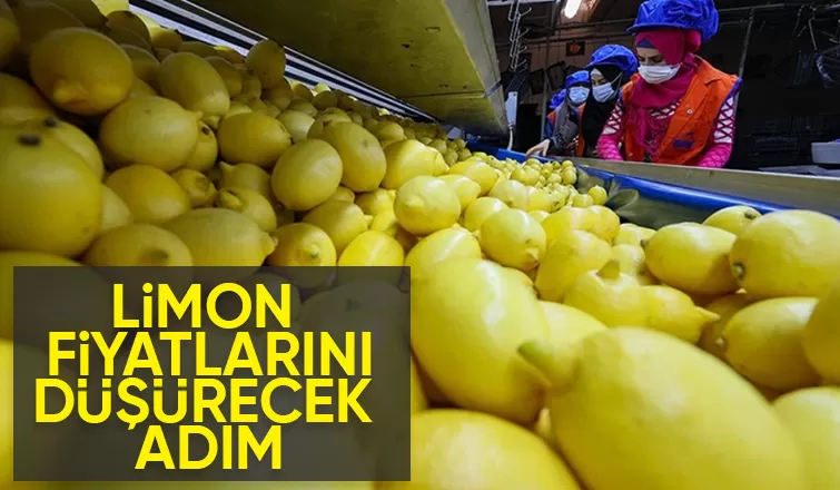 Limon ihracatı durduruldu