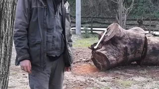 Lojmanda sır dolu ölüm