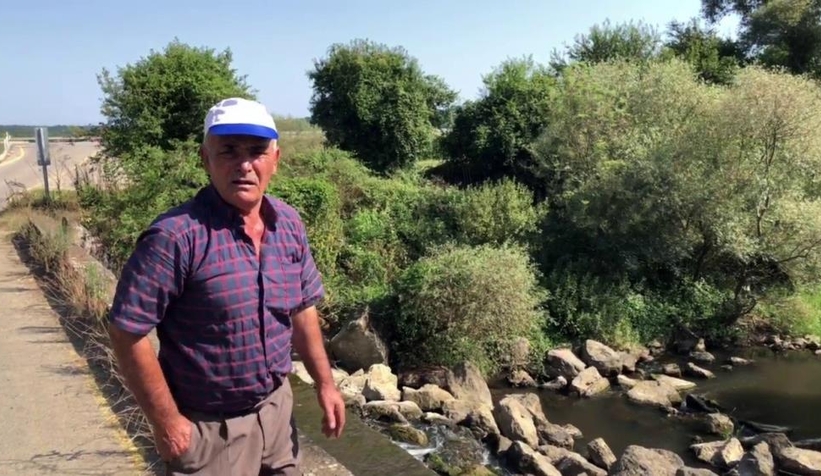 Longozu besleyen derelerde balıklar ölüyor