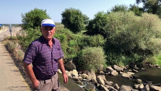 Longozu besleyen derelerde balıklar ölüyor