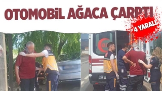 Lüks otomobil ağaca çarptı: 4 yaralı