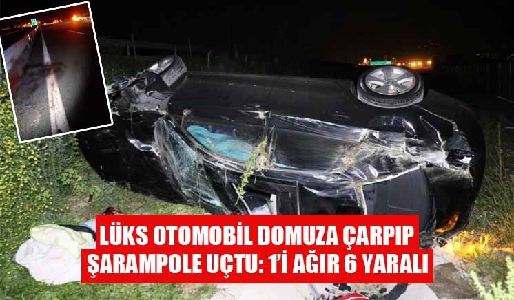 Lüks otomobil domuza çarpıp şarampole uçtu: 6 yaralı