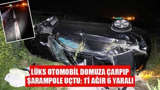 Lüks otomobil domuza çarpıp şarampole uçtu: 6 yaralı