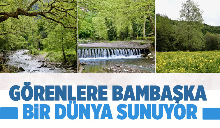 Maden Deresi doğanın renkleriyle kartpostala dönüştü!