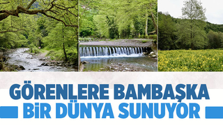 Maden Deresi doğanın renkleriyle kartpostala dönüştü!