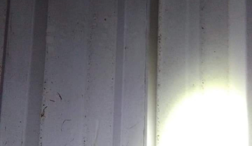 Maganda az kalsın can alıyordu