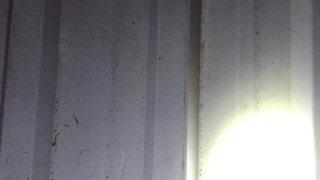 Maganda az kalsın can alıyordu