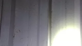 Maganda az kalsın can alıyordu
