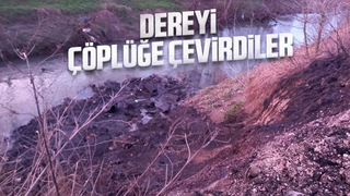 Mahalleli isyan etti