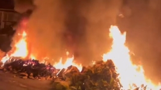 Mahalleliyi bezdirdiler