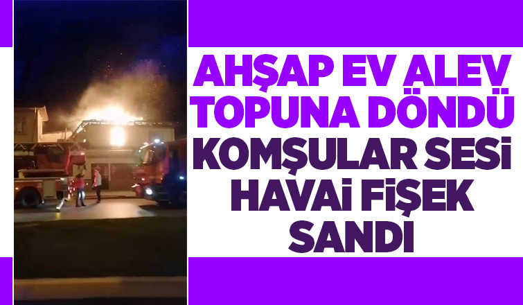 Mahalleliyi sokağa döken yangın söndürüldü