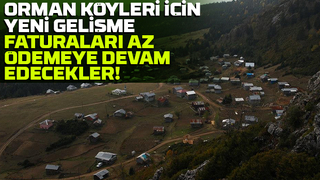 Mahalleye dönüşen orman köyleri için o süre uzatıldı