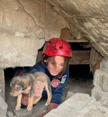 Mahsur kalan yavru köpekler kurtarıldı