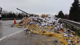 Makarnalar TEM'e saçıldı