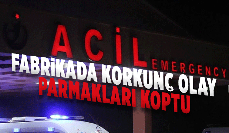 Makineye kaptırdığı parmakları koptu