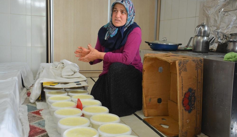 Manda sütündeki verimlilik inekleri solladı