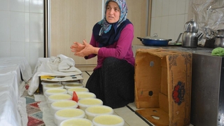 Manda sütündeki verimlilik inekleri solladı