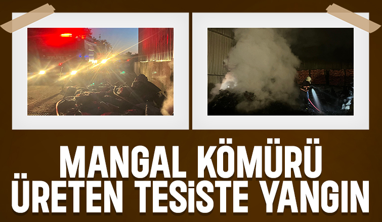 Mangal kömürü yapılan tesiste yangın