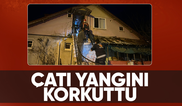 Mansurlar'da yangın