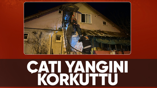 Mansurlar'da yangın