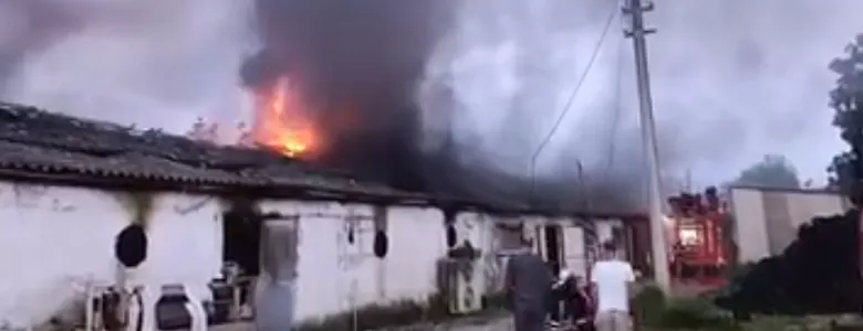 Mantar tesisinde yangın paniği