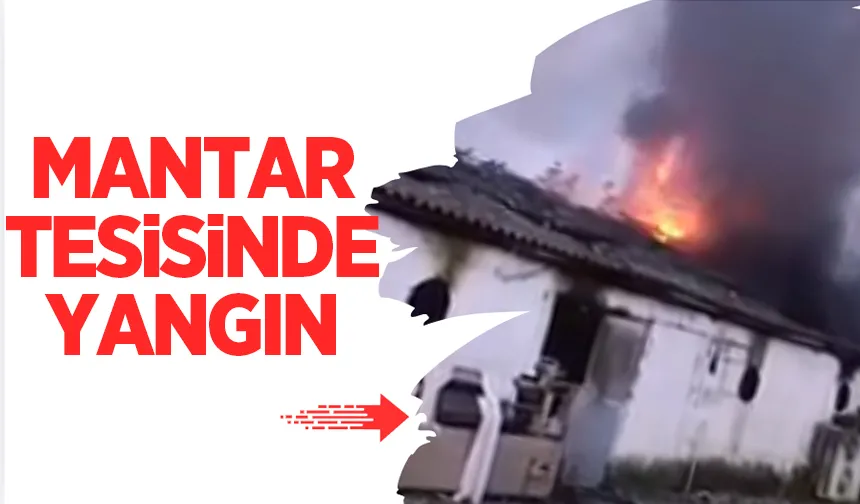Mantar tesisinde yangın paniği