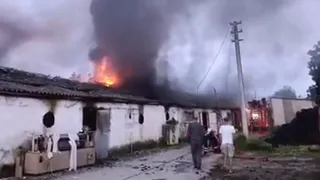 Mantar tesisinde yangın paniği