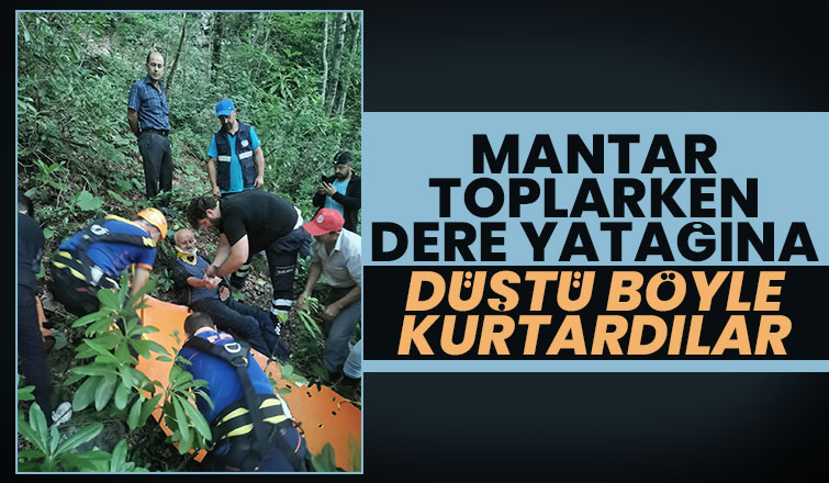 Mantar toplarken dere yatağına düştü, böyle kurtarıldı