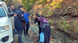 Mantar toplarken kaybolan 75 yaşındaki kadın bulundu
