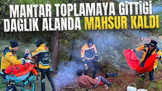 Mantar toplarken yaralandı