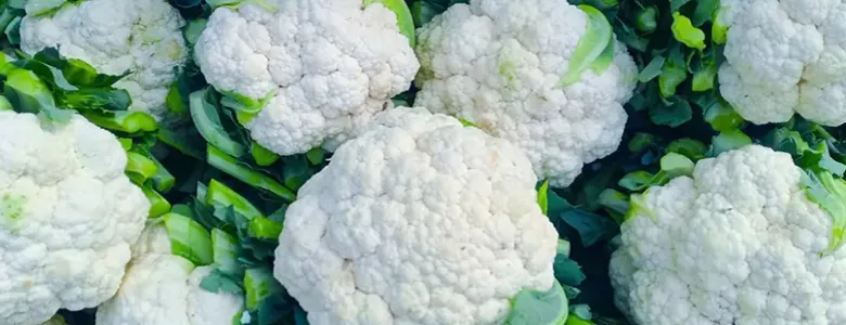  Market ve üretici arasındaki fark rekoru karnabaharda