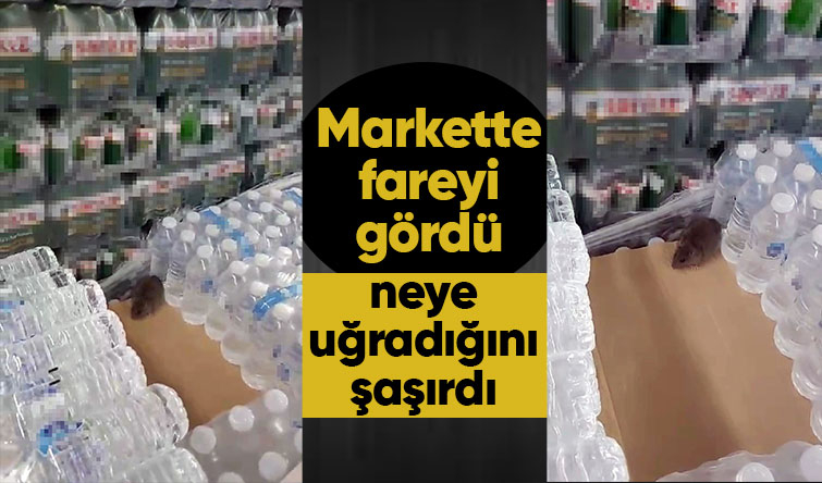 Markette şok görüntü
