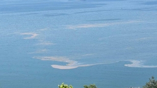 Marmara Denizi'nde müsilaj endişesi