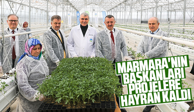 Marmara'nın başkanları Akyazı'da sera merkezini gezdi