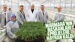Marmara'nın başkanları Akyazı'da sera merkezini gezdi