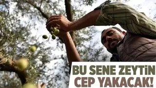 Marmarabirlik ürün alım fiyatlarını arttırdı