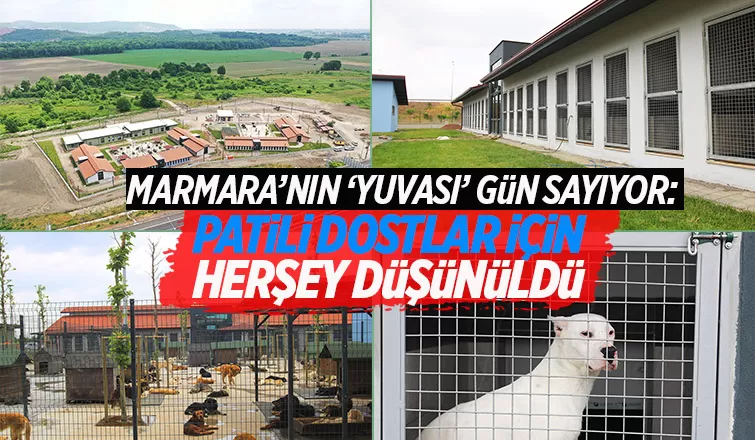 Marmara’nın yuvası gün sayıyor