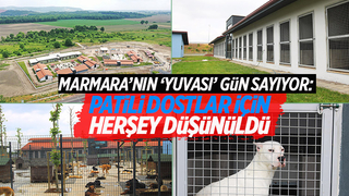 Marmara’nın yuvası gün sayıyor