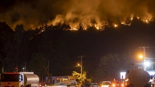 Marmaris yangınının bilançosu belli oldu