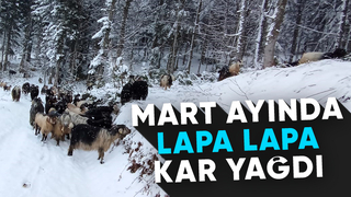 Mart ayında kış kar yağdı