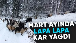 Mart ayında kış kar yağdı