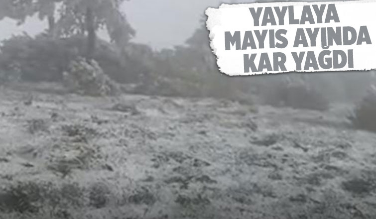 Mayıs ayında kar yağdı