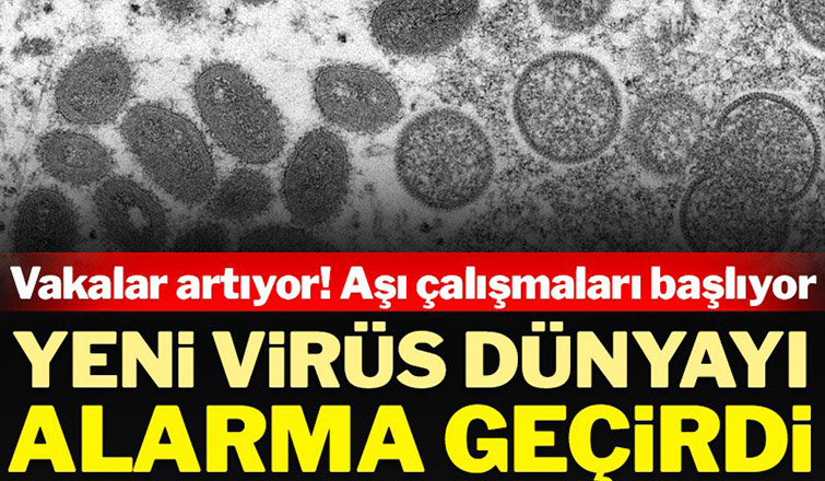 Maymun çiçeği virüsü dünyayı alarma geçirdi