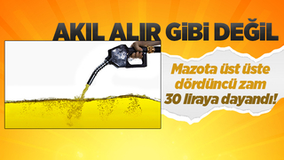Mazota dördüncü zam yolda: 30 liraya yaklaşacak