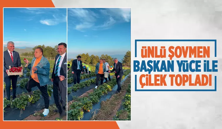 Mehmet Ali Erbil, Büyükşehirin çileklerine hayran kaldı