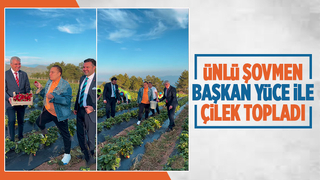 Mehmet Ali Erbil, Büyükşehirin çileklerine hayran kaldı