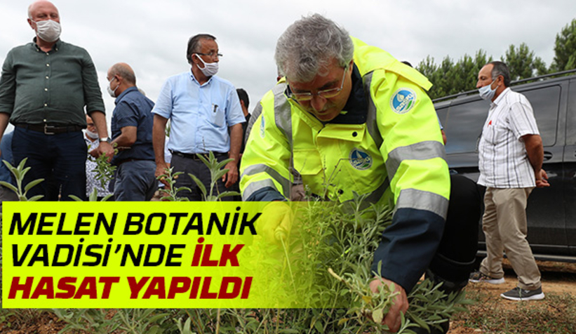 Melen Botanik Vadisi’nde ilk hasat yapıldı